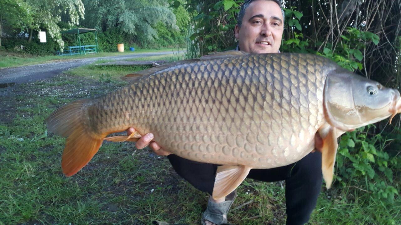 ISOLA DEL PESCATORE 1 - 2 mai 2017 - img9368.JPG